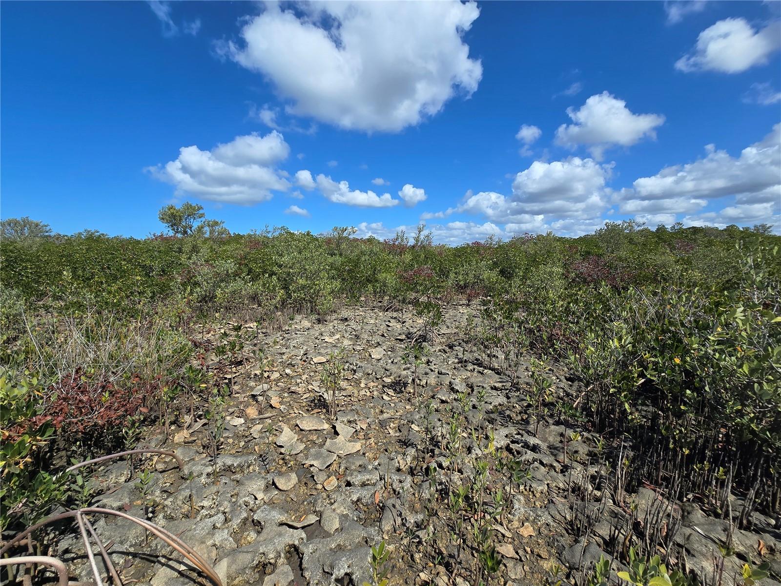 Image 49 of 59 For Address Not Provided