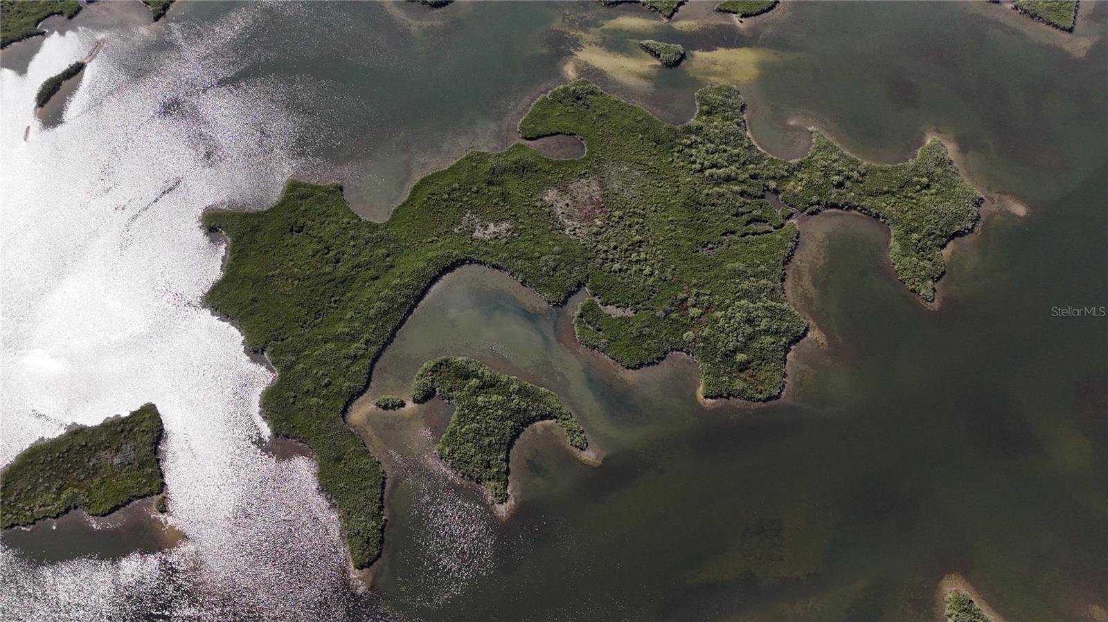 Image 5 of 59 For Address Not Provided