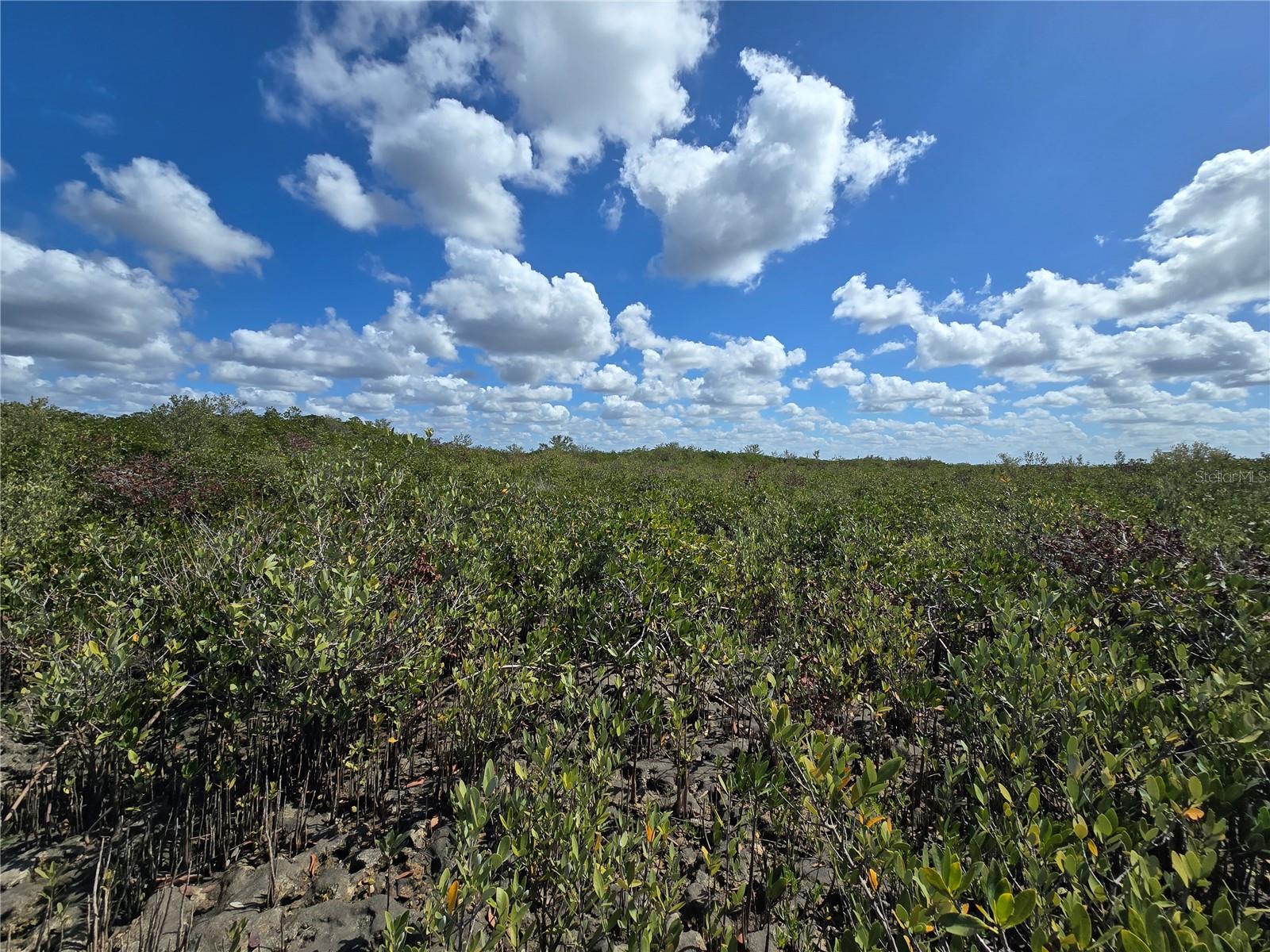 Image 50 of 59 For Address Not Provided