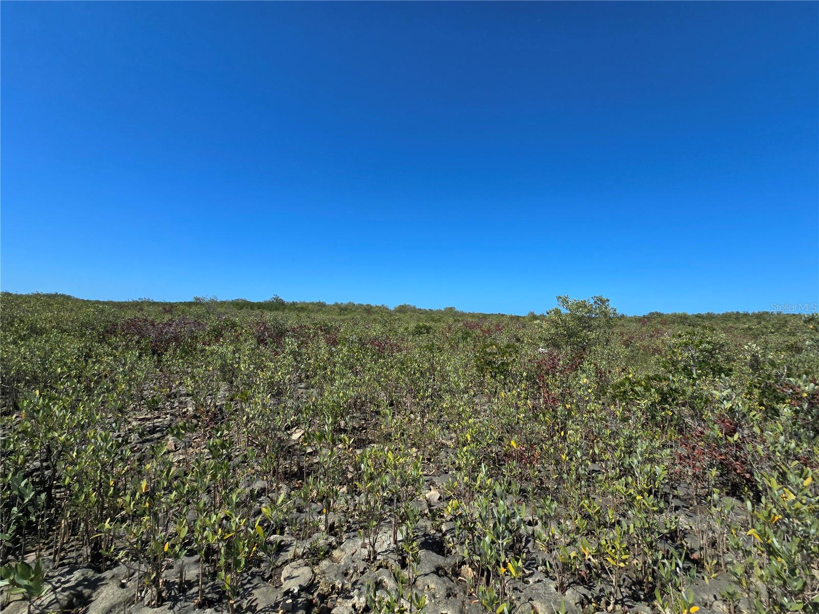 Image 51 of 59 For Address Not Provided