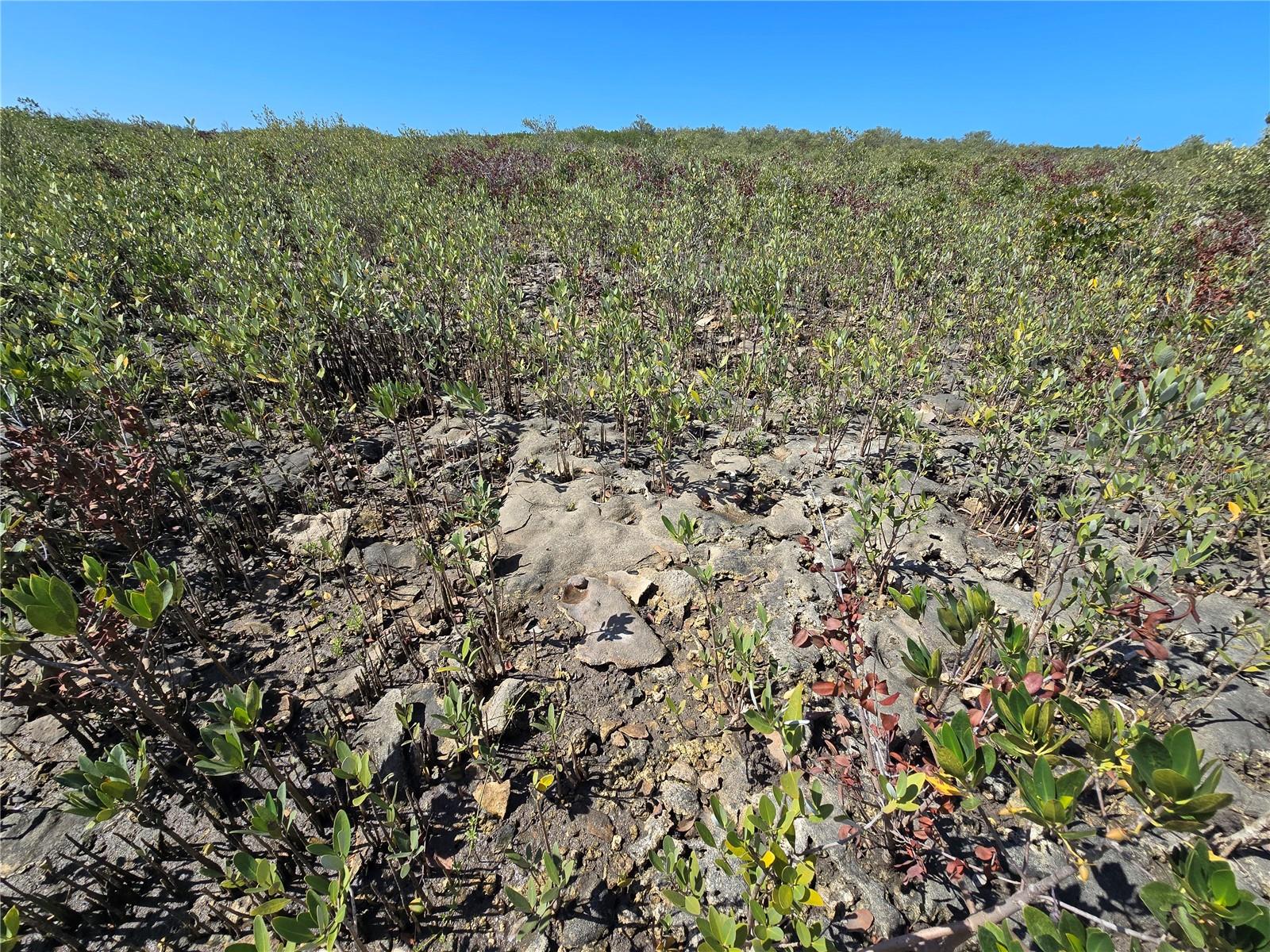 Image 52 of 59 For Address Not Provided