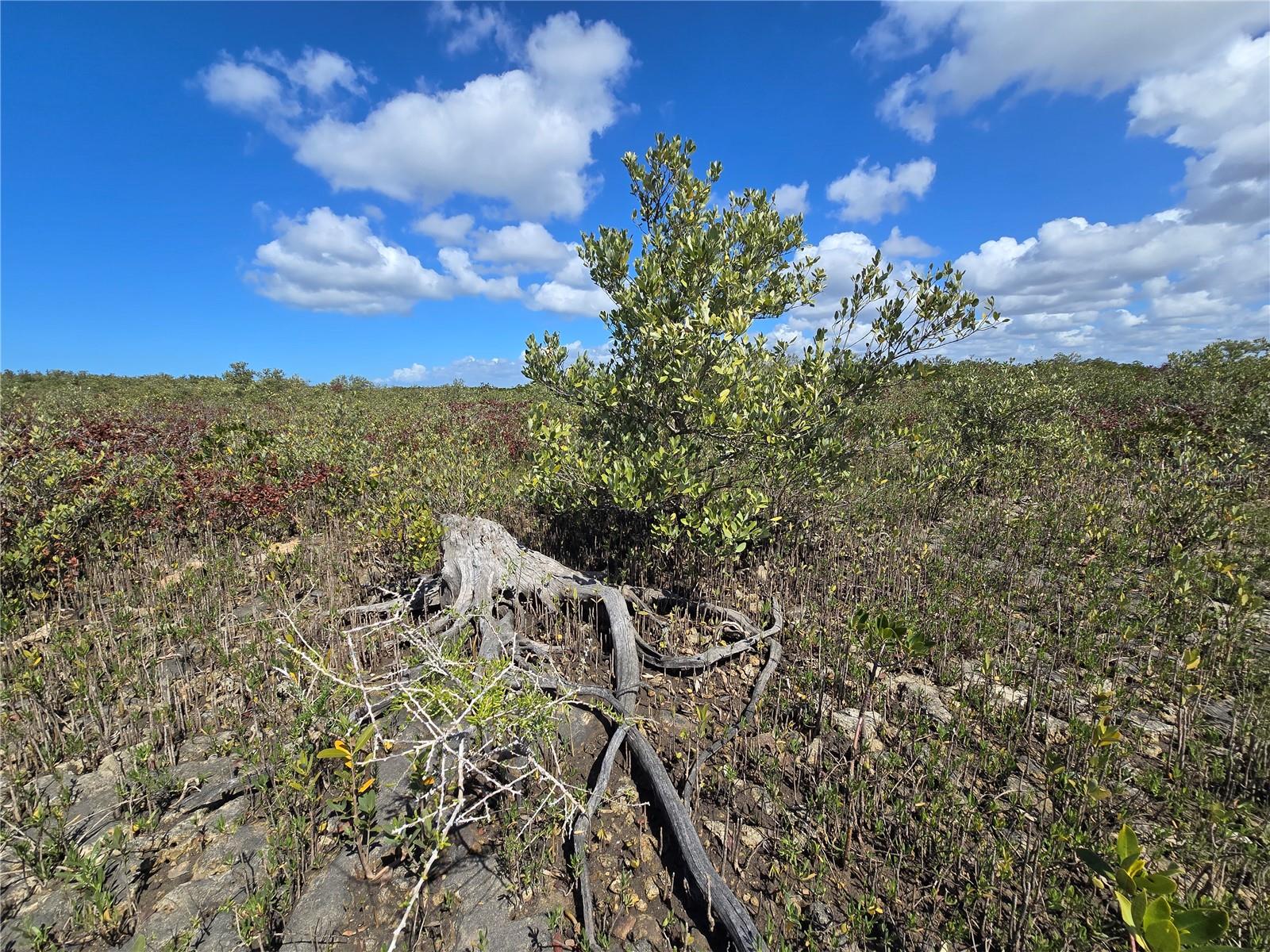 Image 53 of 59 For Address Not Provided