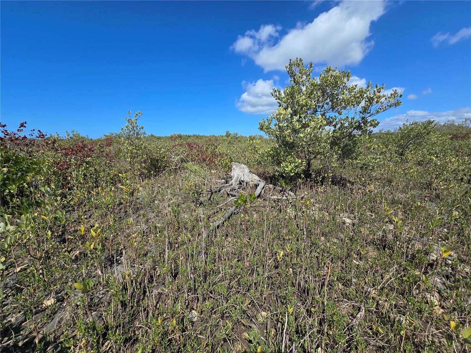 Image 54 of 59 For Address Not Provided