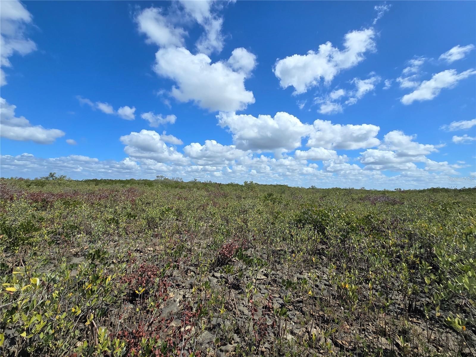 Image 55 of 59 For Address Not Provided