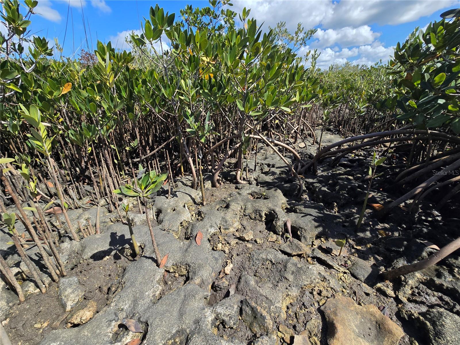 Image 58 of 59 For Address Not Provided