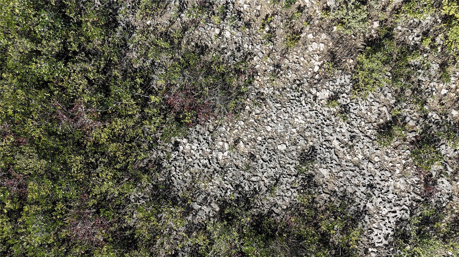 Image 59 of 59 For Address Not Provided