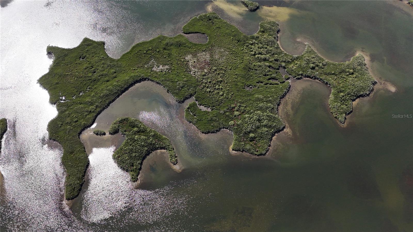 Image 6 of 59 For Address Not Provided