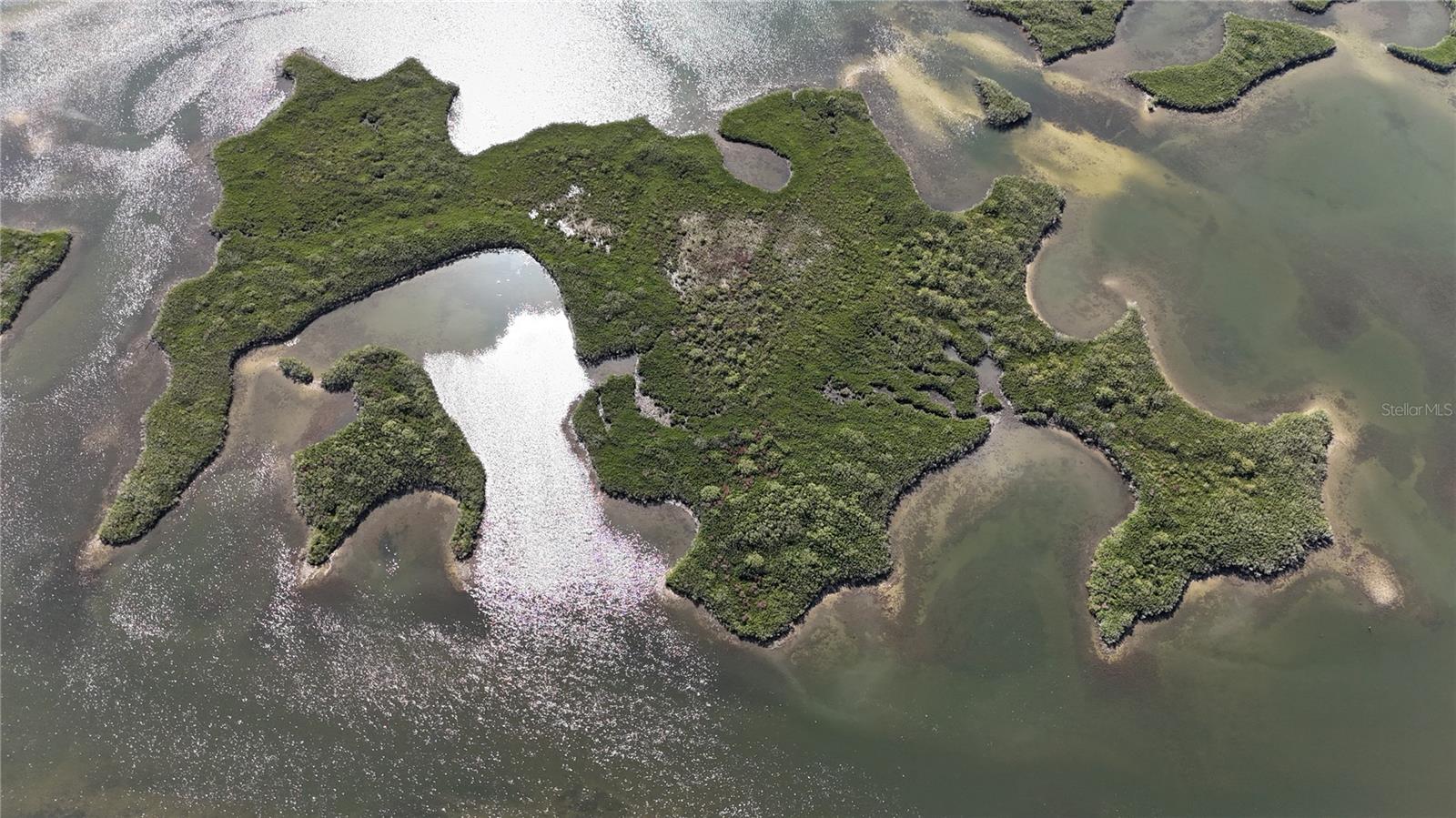 Image 7 of 59 For Address Not Provided