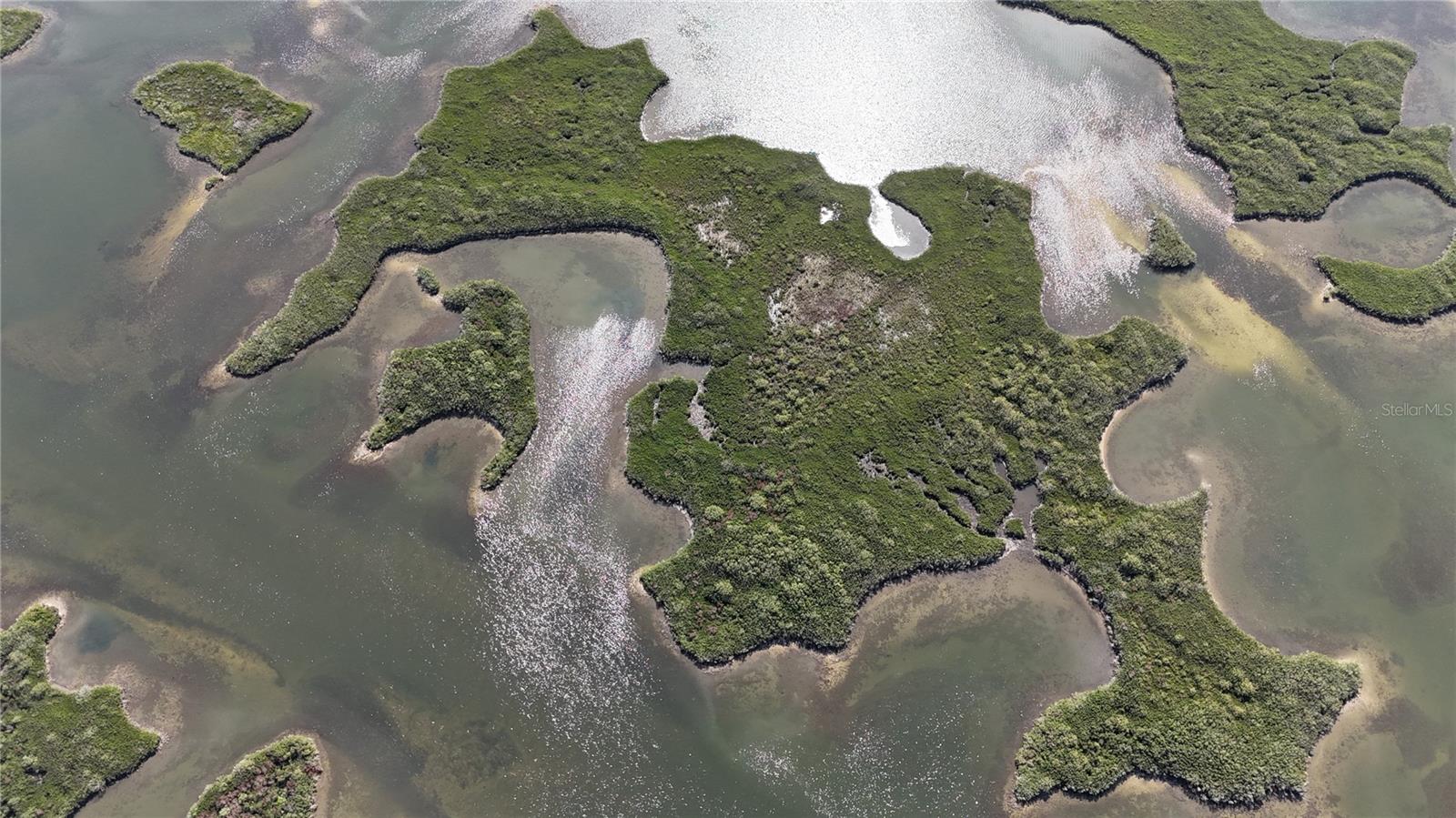 Image 8 of 59 For Address Not Provided