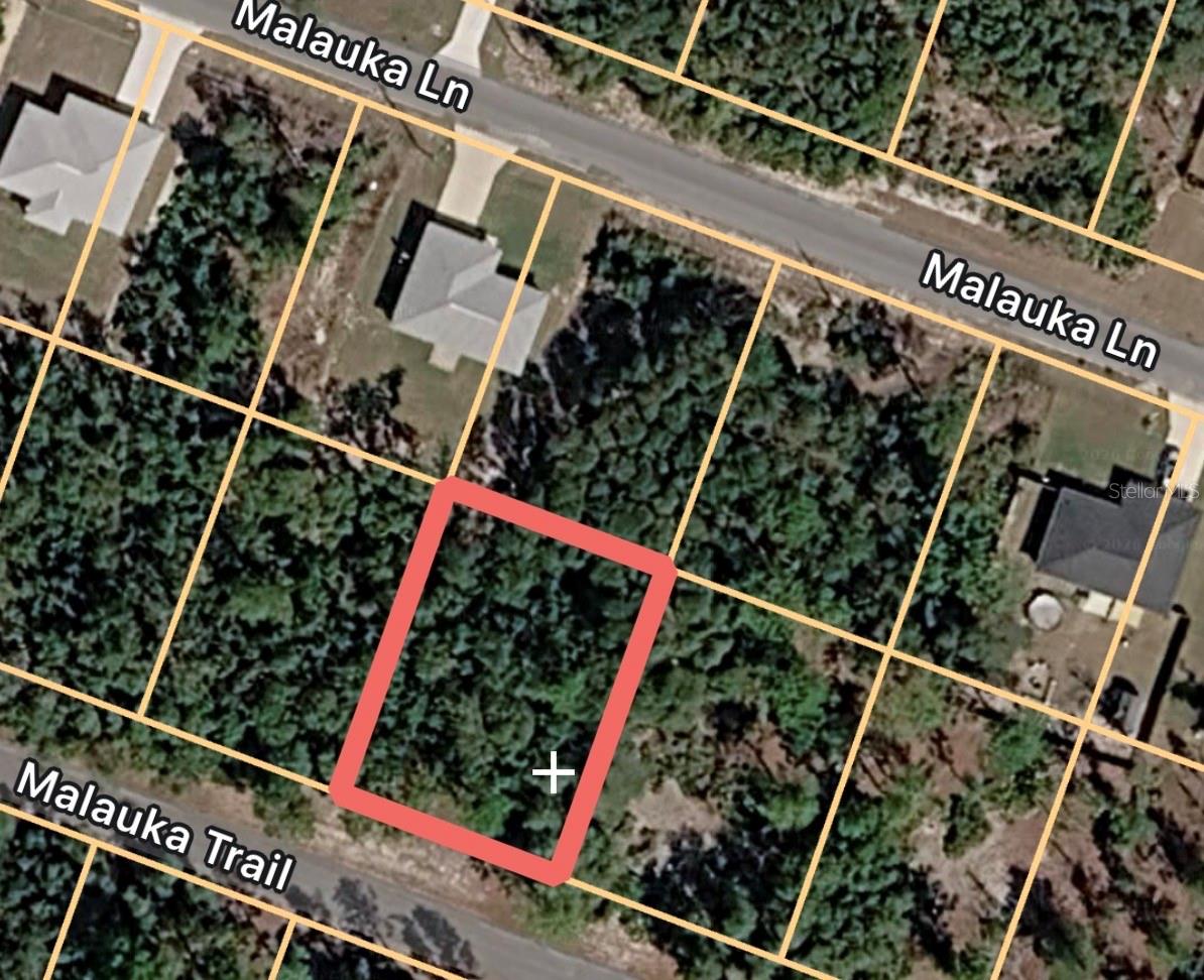 Details for Malauka Trail, OCKLAWAHA, FL 32179