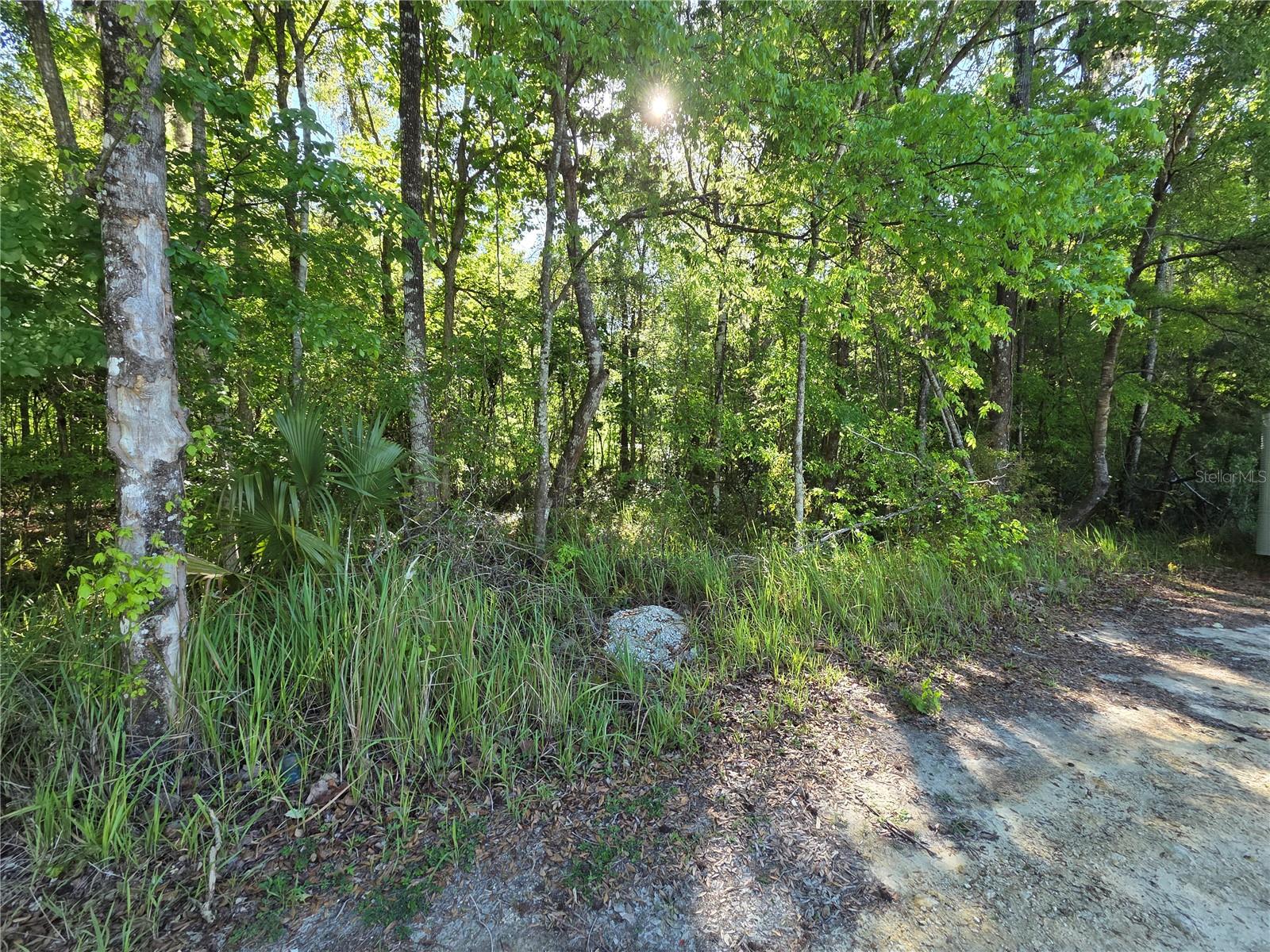 Details for 0000 42nd Court, BELLEVIEW, FL 34420