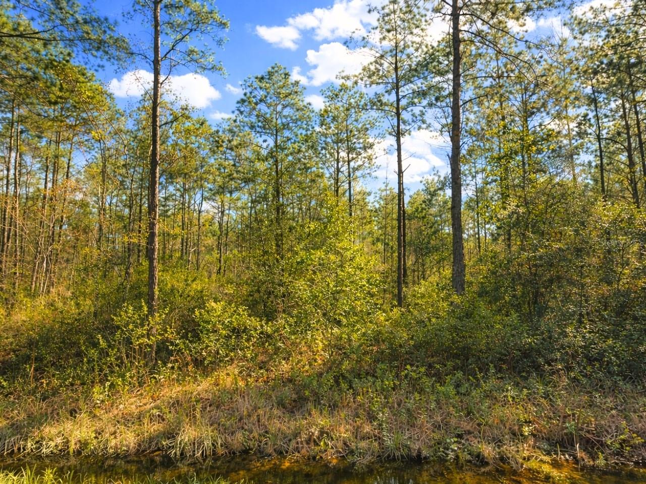 Image 2 of 4 For 10620 Delgado Avenue