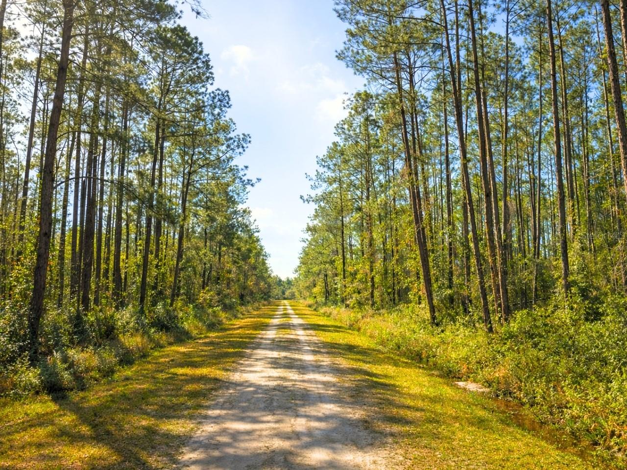 Image 2 of 5 For 10675 Delgado Avenue