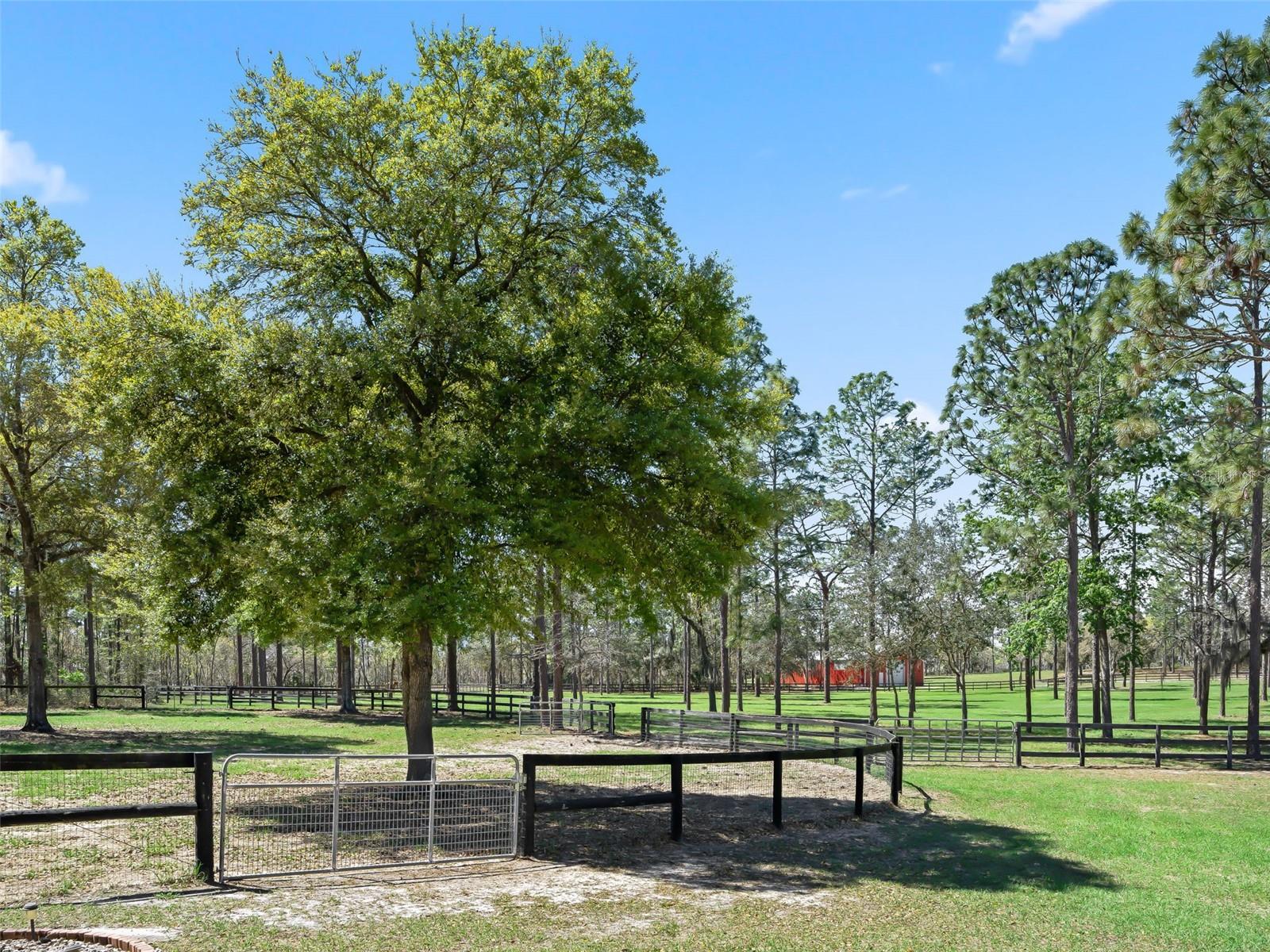 Image 44 of 66 For 11370 12th Lane