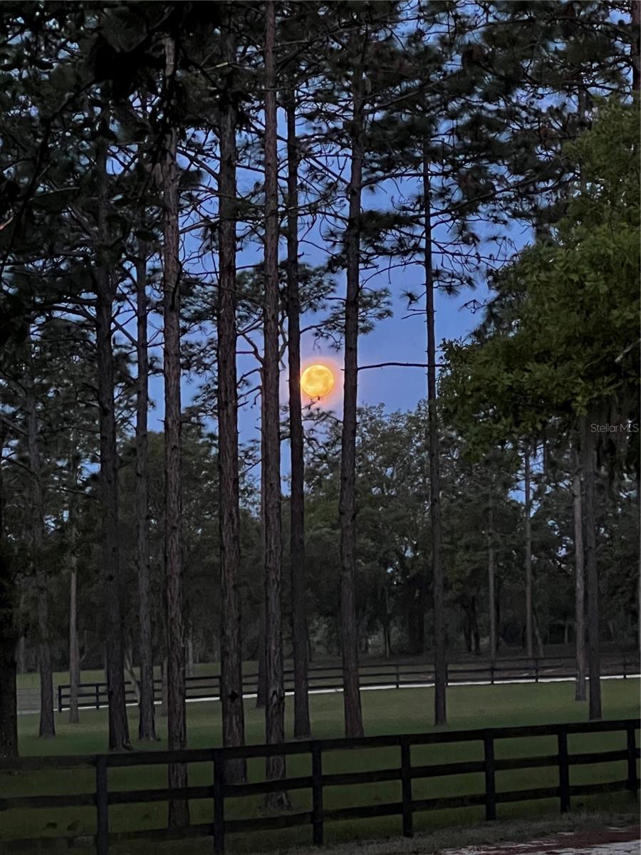 Image 64 of 66 For 11370 12th Lane