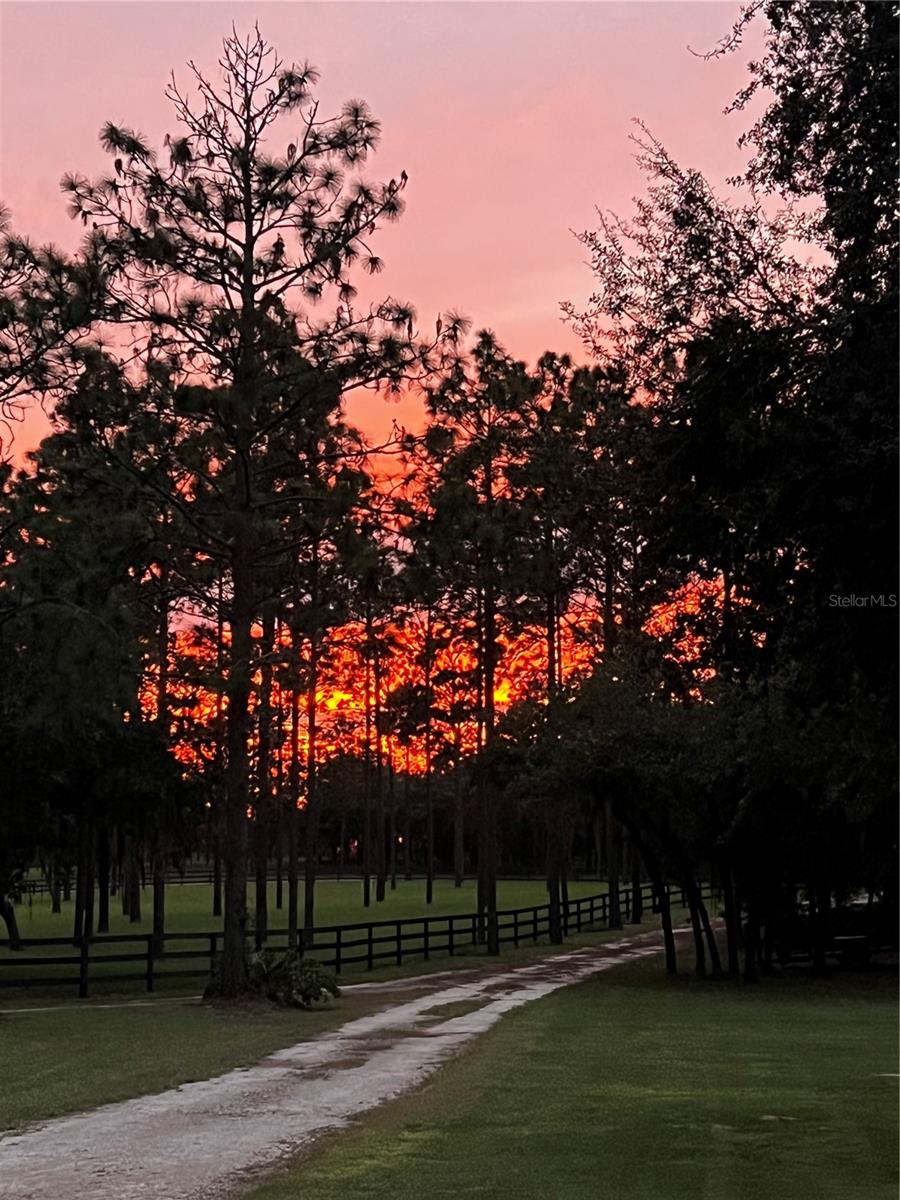 Image 66 of 66 For 11370 12th Lane