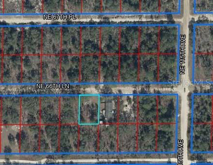 Listing Details for Ne 66th Lane Lot 11, WILLISTON, FL 32696