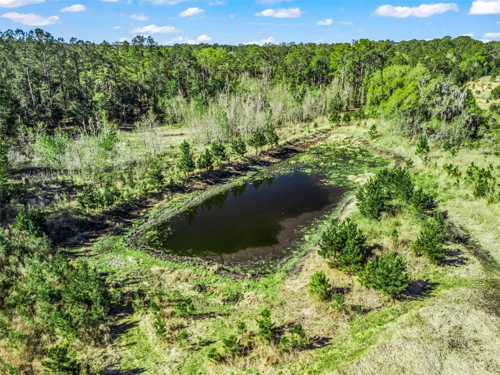 Image 75 of 92 For 6350 86th Avenue