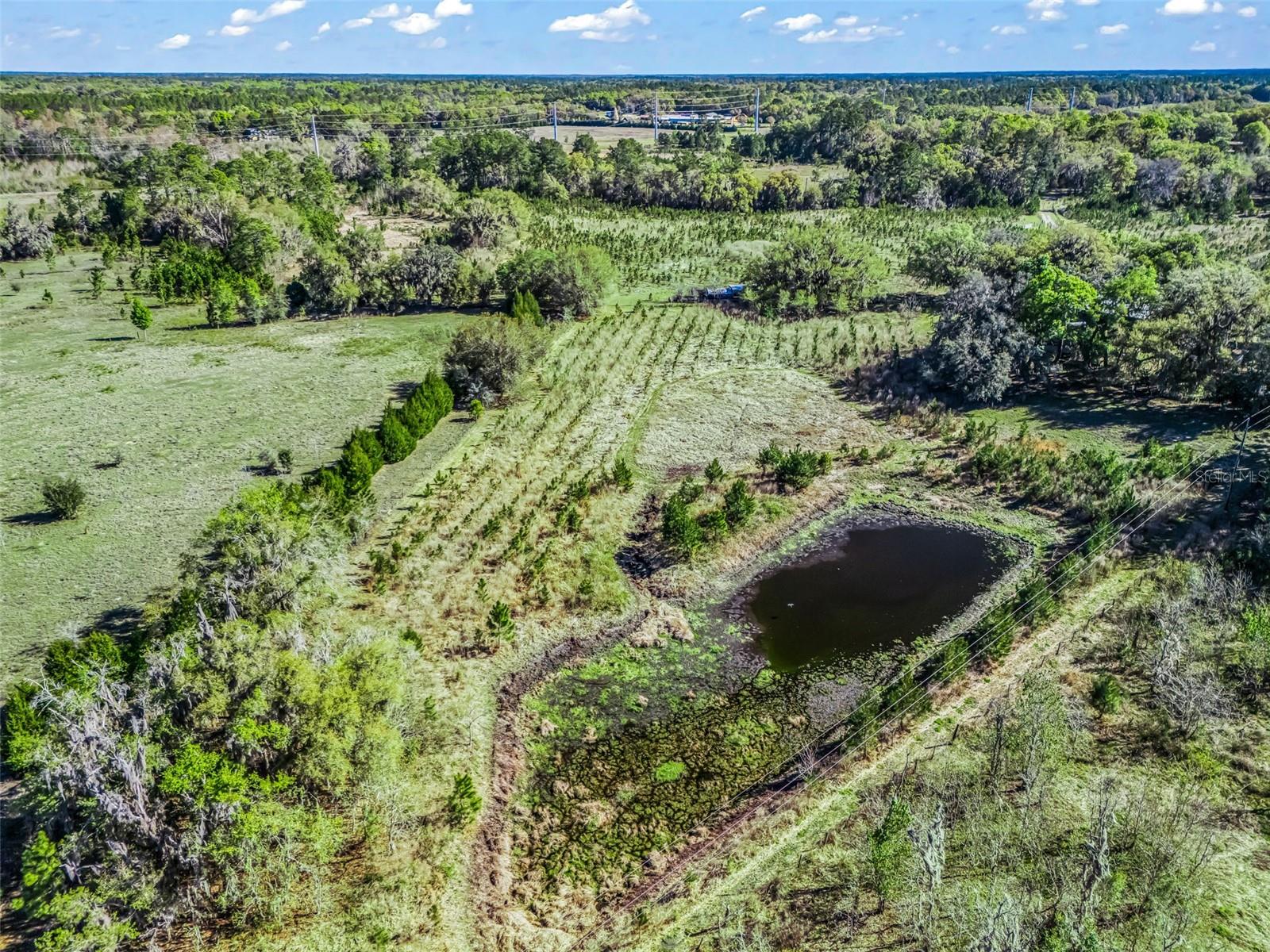 Image 76 of 92 For 6350 86th Avenue