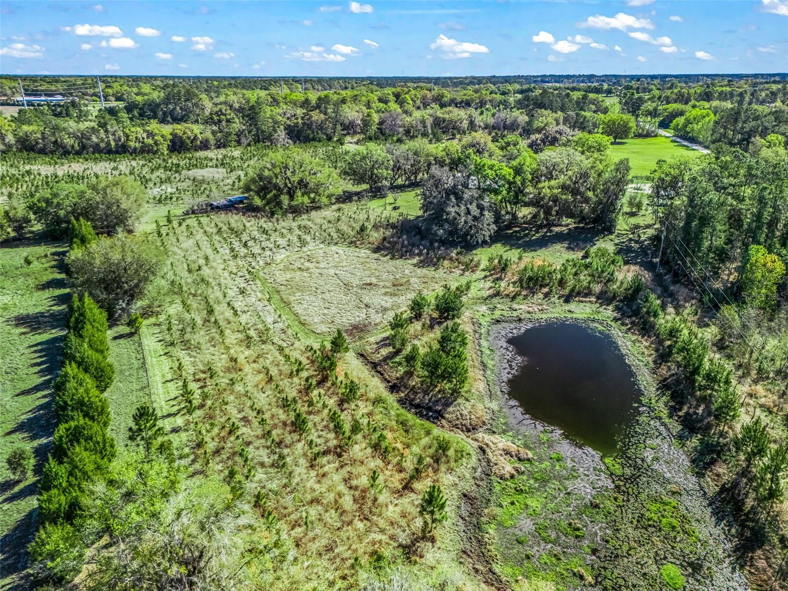 Image 77 of 92 For 6350 86th Avenue