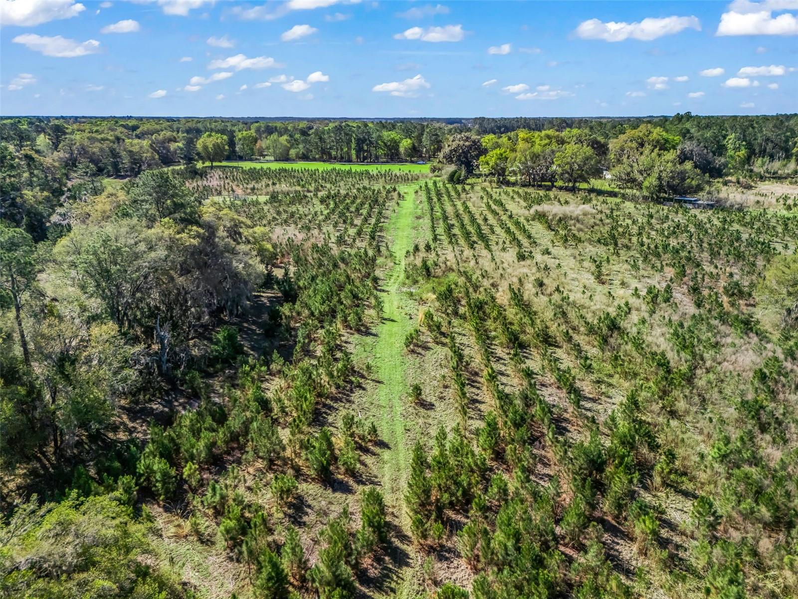 Image 80 of 92 For 6350 86th Avenue