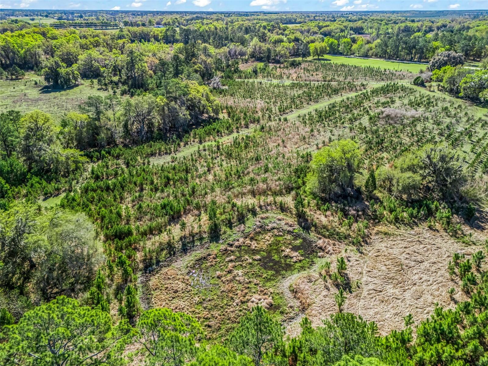 Image 81 of 92 For 6350 86th Avenue