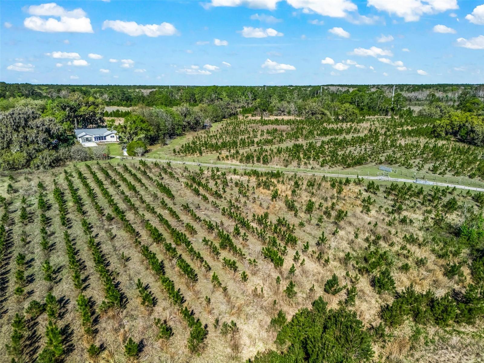 Image 84 of 92 For 6350 86th Avenue