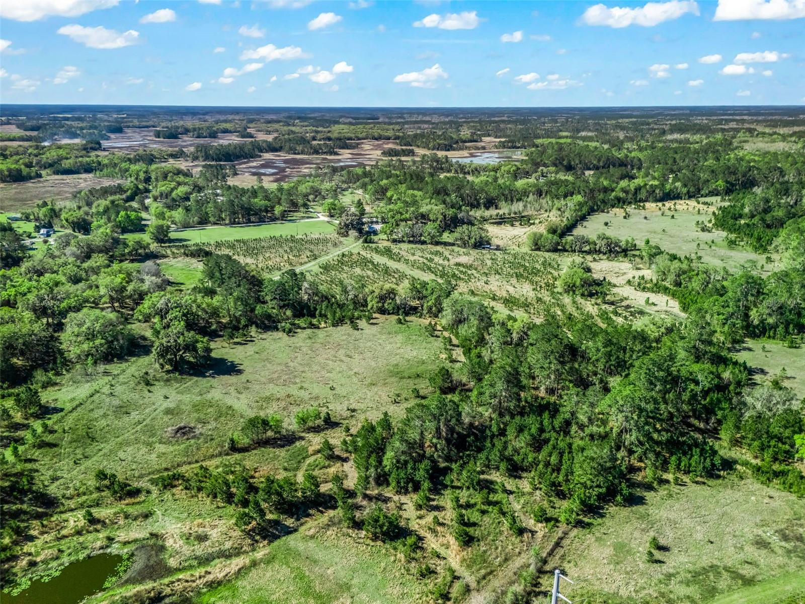 Image 89 of 92 For 6350 86th Avenue