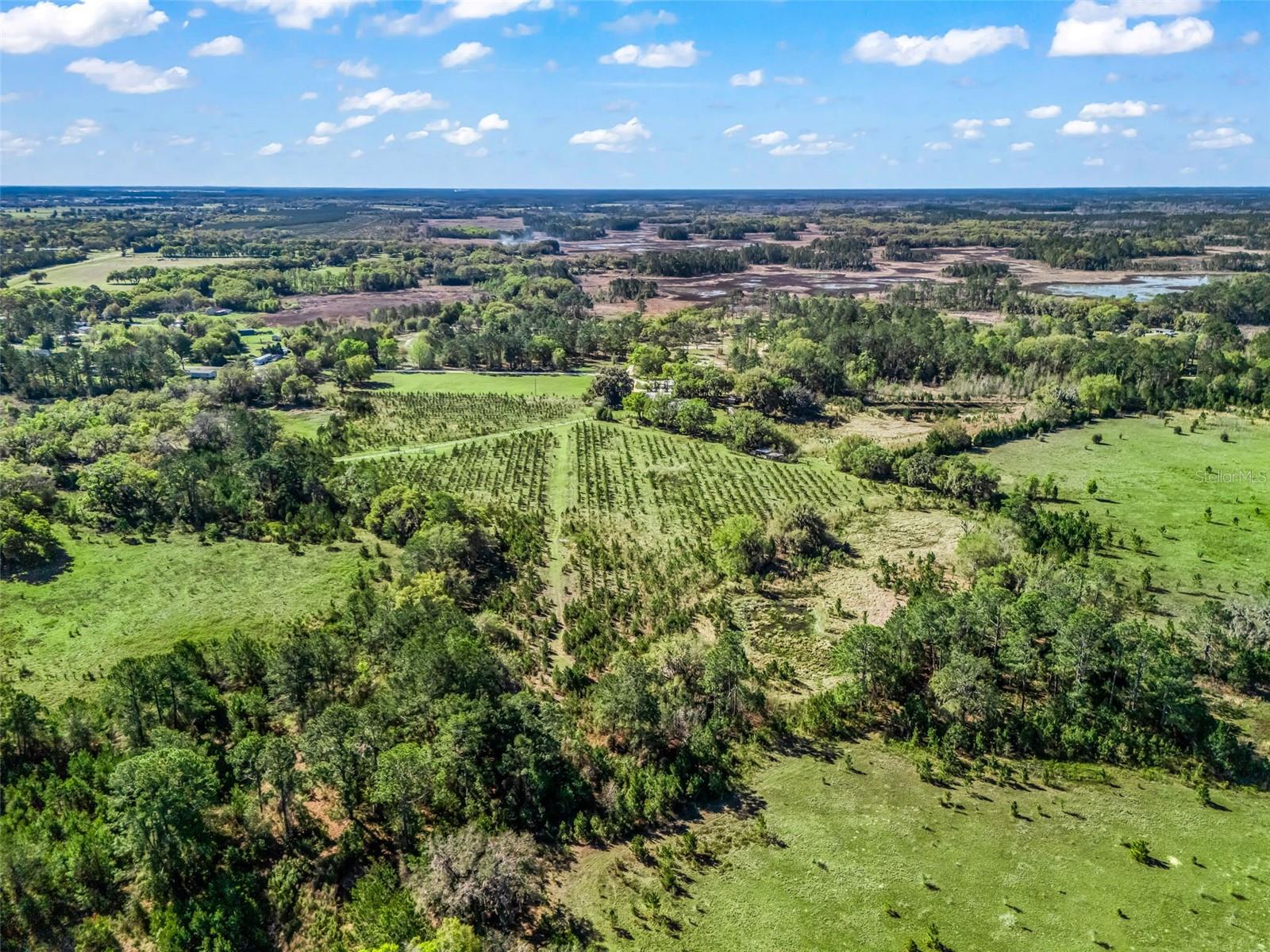 Image 90 of 92 For 6350 86th Avenue