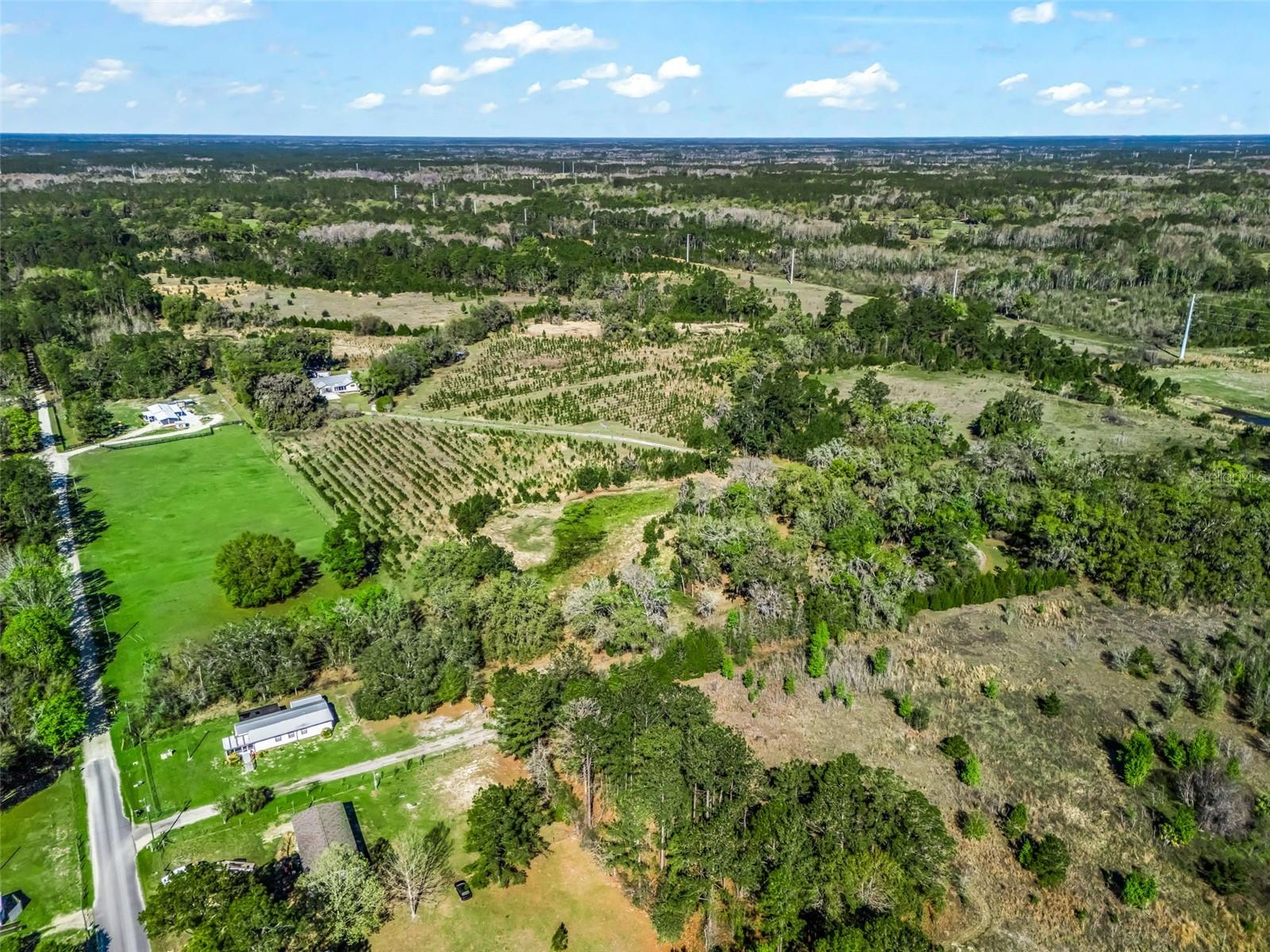 Image 91 of 92 For 6350 86th Avenue