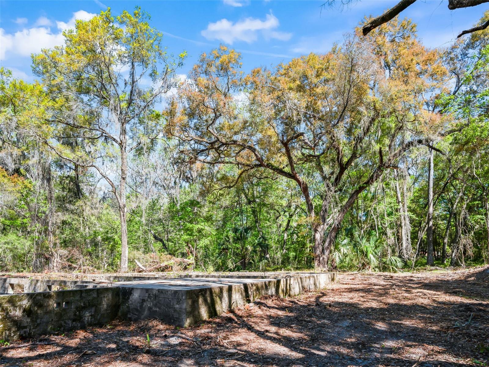 Image 11 of 18 For 68 Lake View Drive E