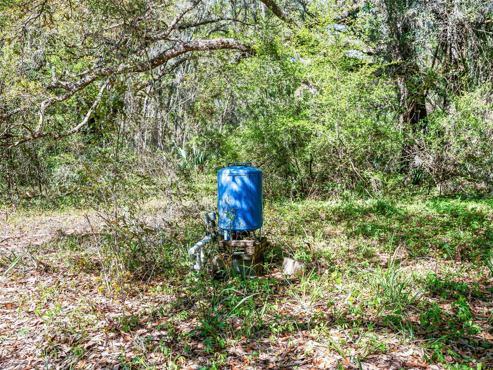 Image 16 of 18 For 68 Lake View Drive E