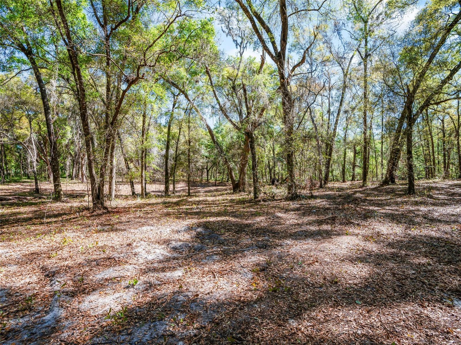 Image 9 of 18 For 68 Lake View Drive E