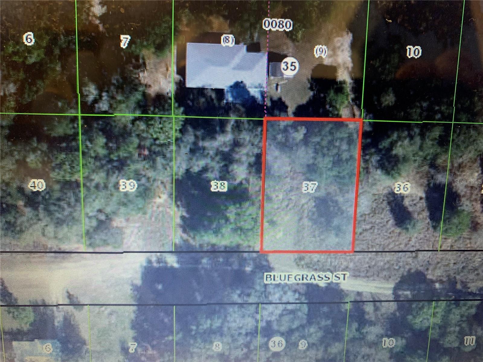 Image 2 of 4 For 2408 Bluegrass Street