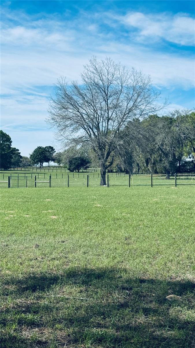 Image 10 of 17 For Lot #7 66th Place