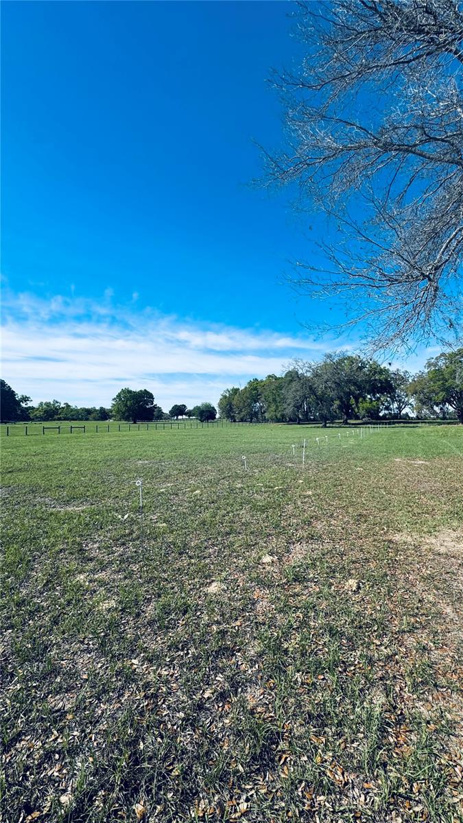 Image 12 of 17 For Lot #7 66th Place