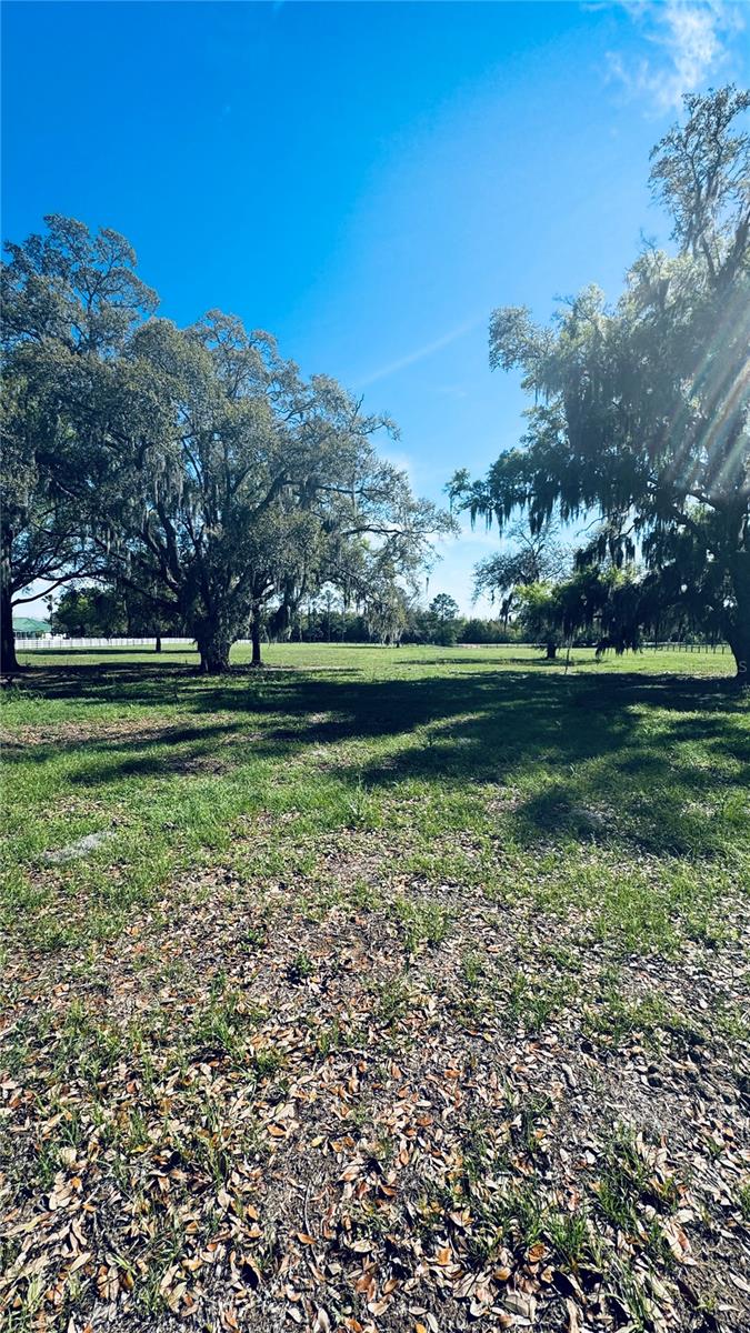 Image 13 of 17 For Lot #7 66th Place