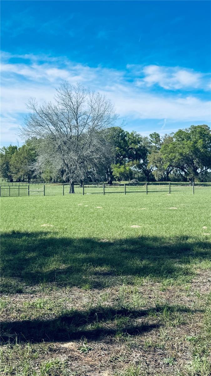 Image 15 of 17 For Lot #7 66th Place