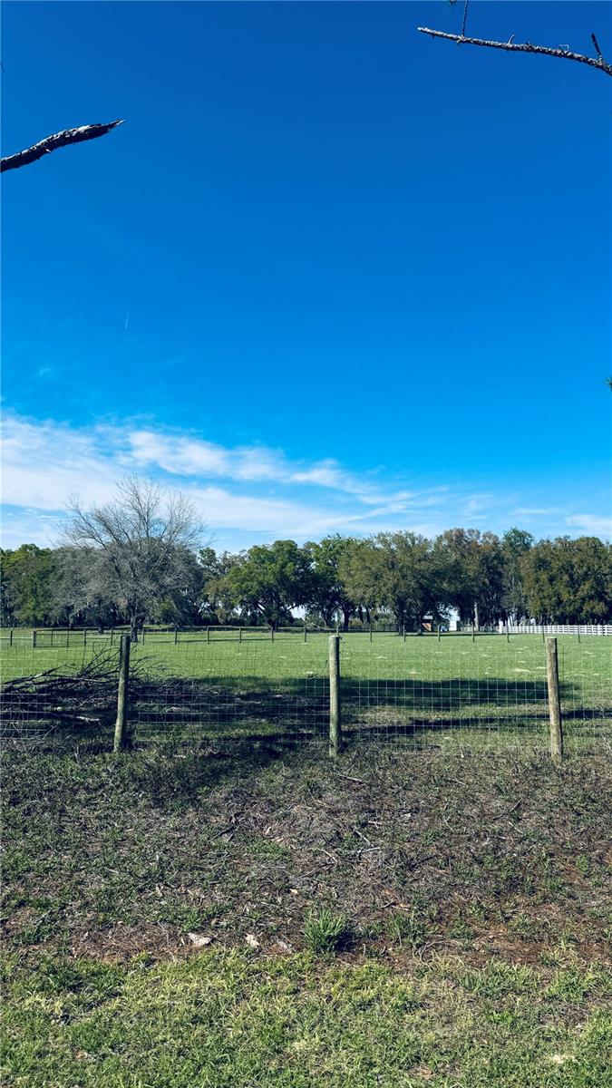 Image 16 of 17 For Lot #7 66th Place