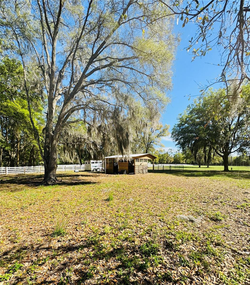 Image 3 of 17 For Lot #7 66th Place