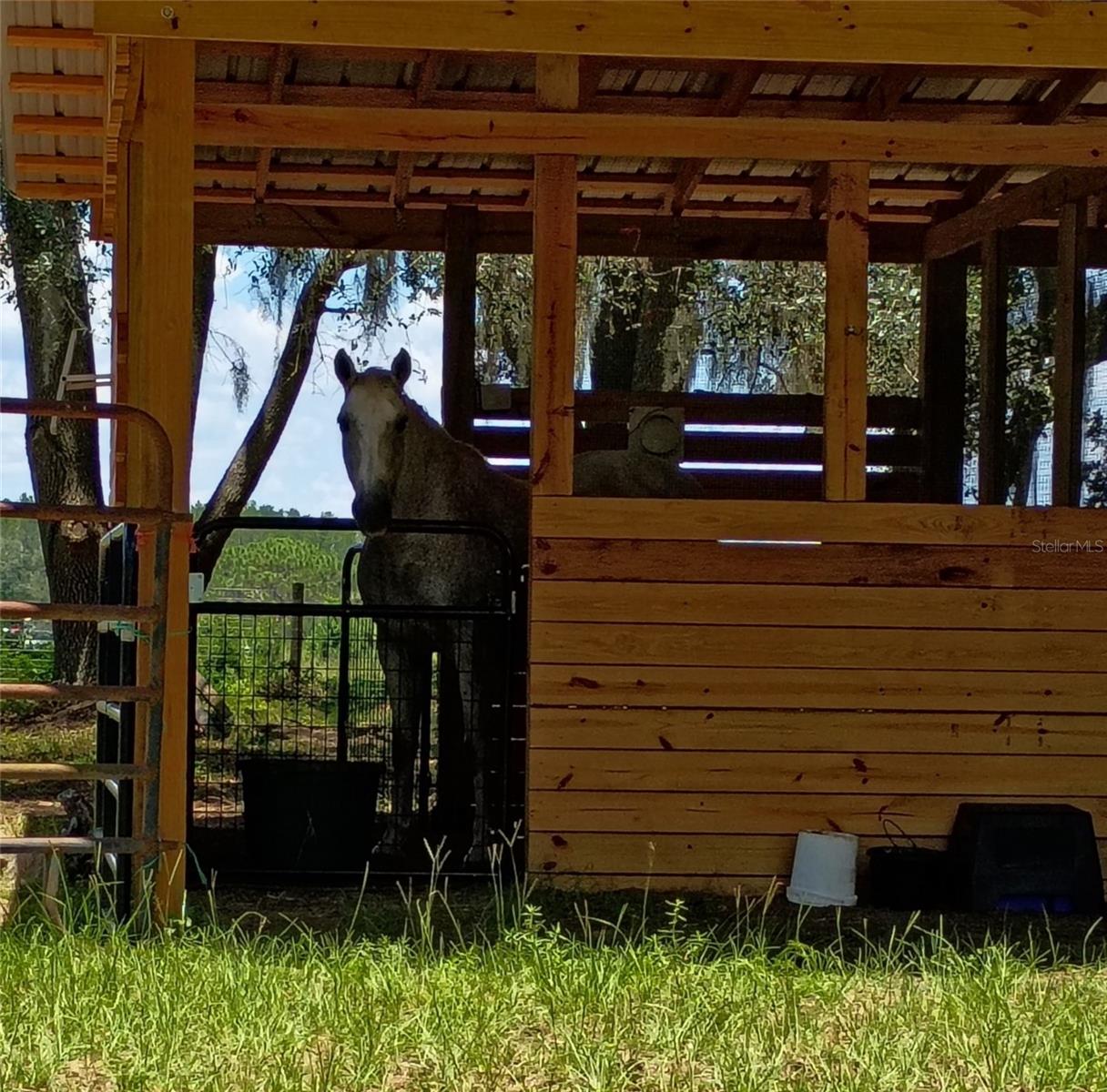 Image 8 of 17 For Lot #7 66th Place