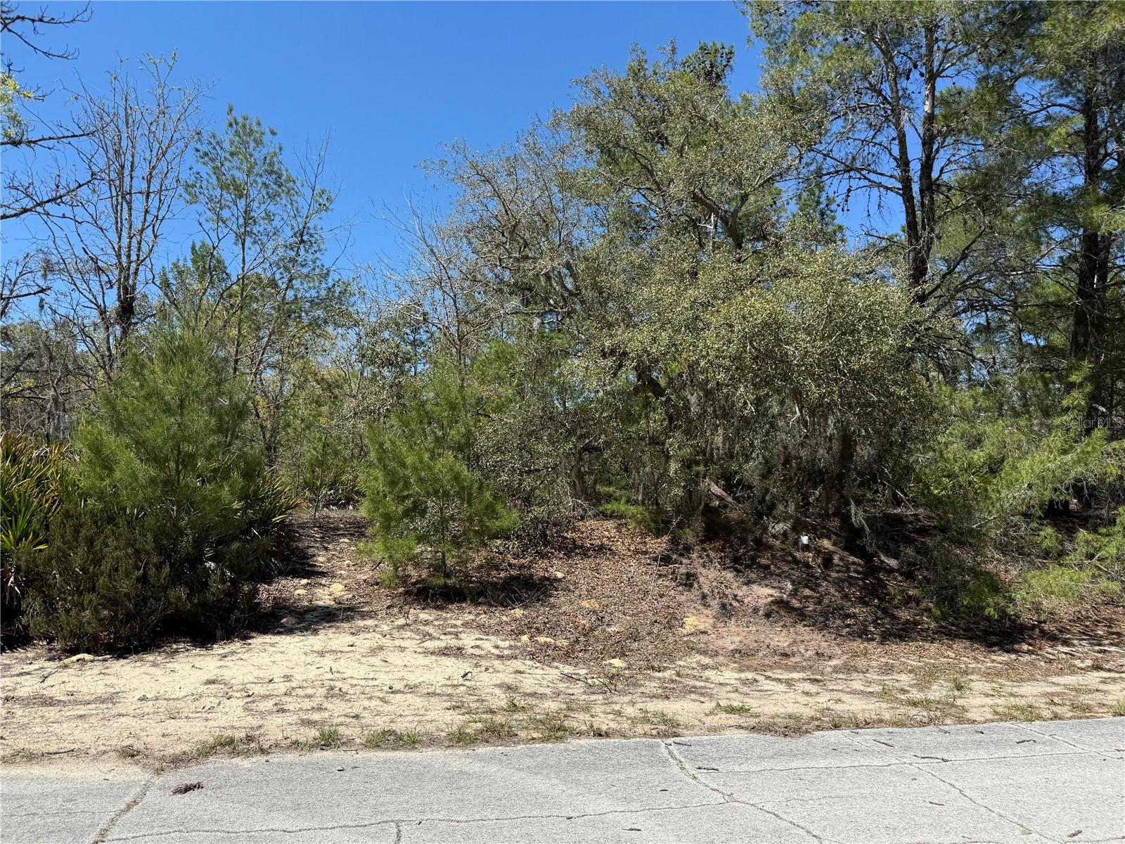 Image 2 of 3 For 10762 Moreno Drive