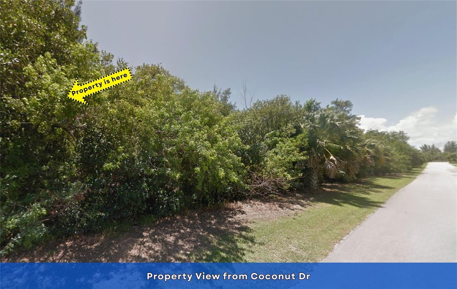 Image 12 of 19 For Lot 12 Coconut Drive