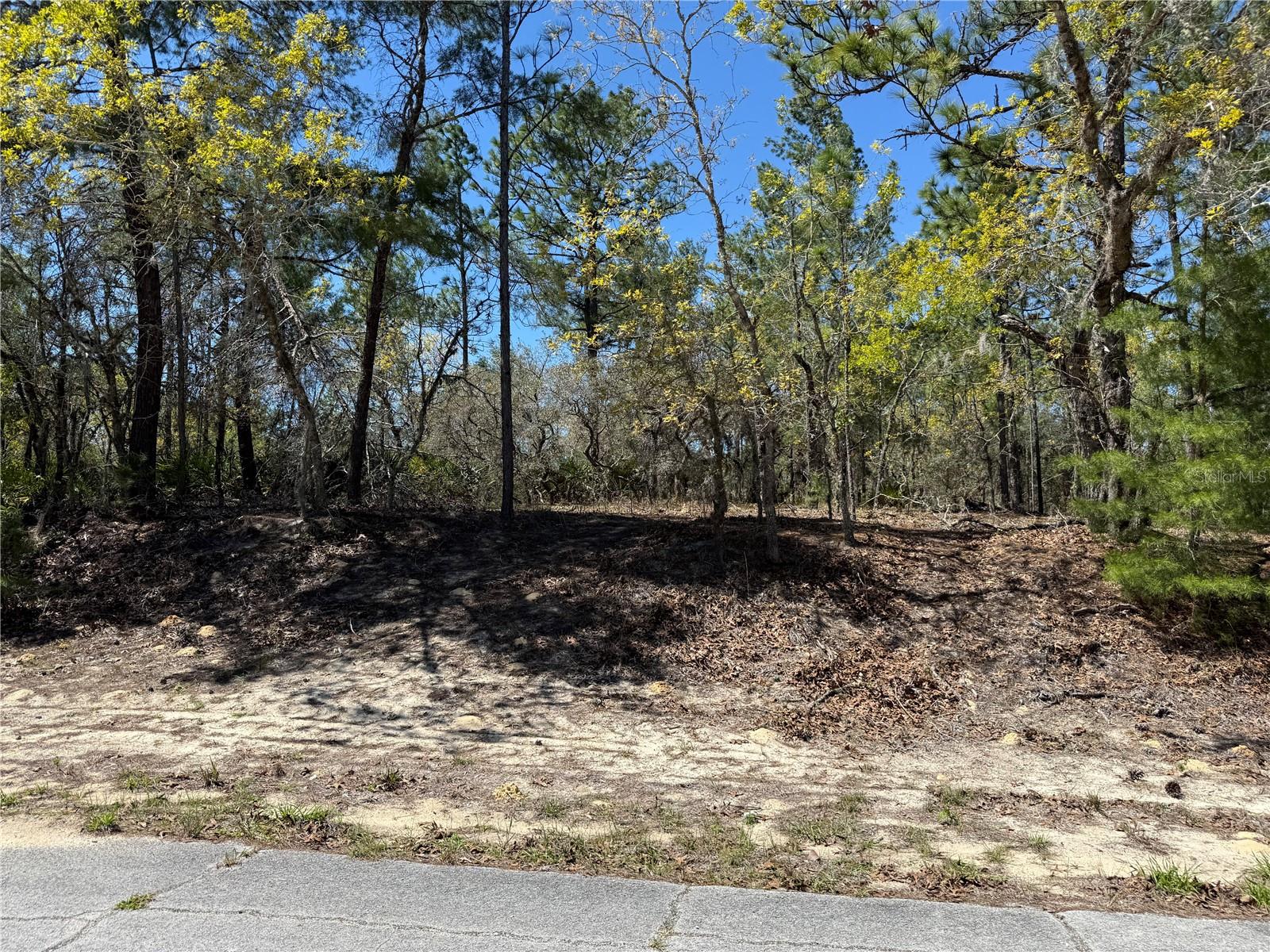 Details for 10776 Moreno Drive, DUNNELLON, FL 34433