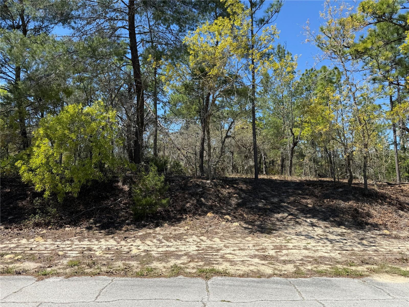 Image 2 of 3 For 10776 Moreno Drive