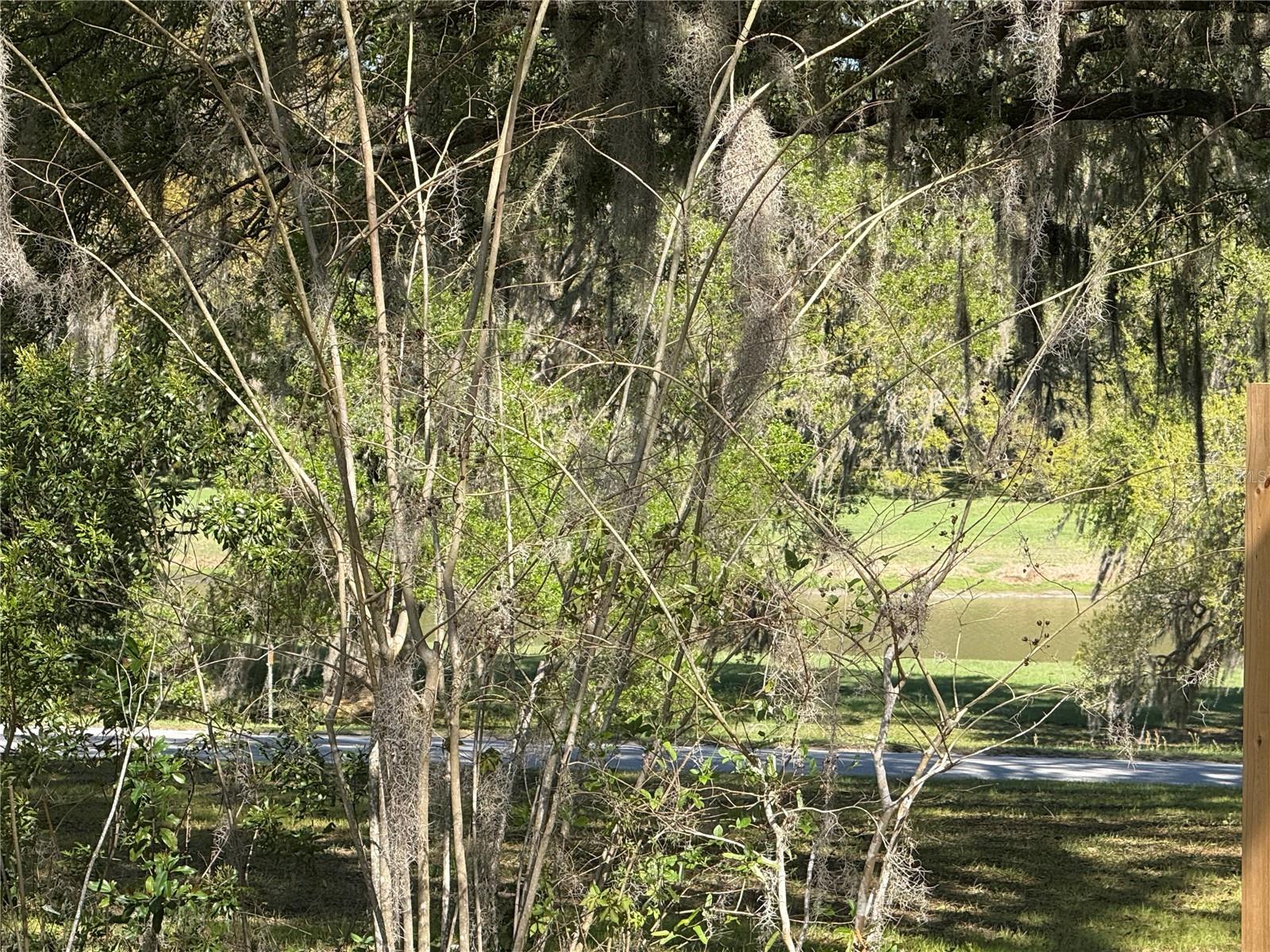 Image 22 of 28 For 10426 133rd Avenue