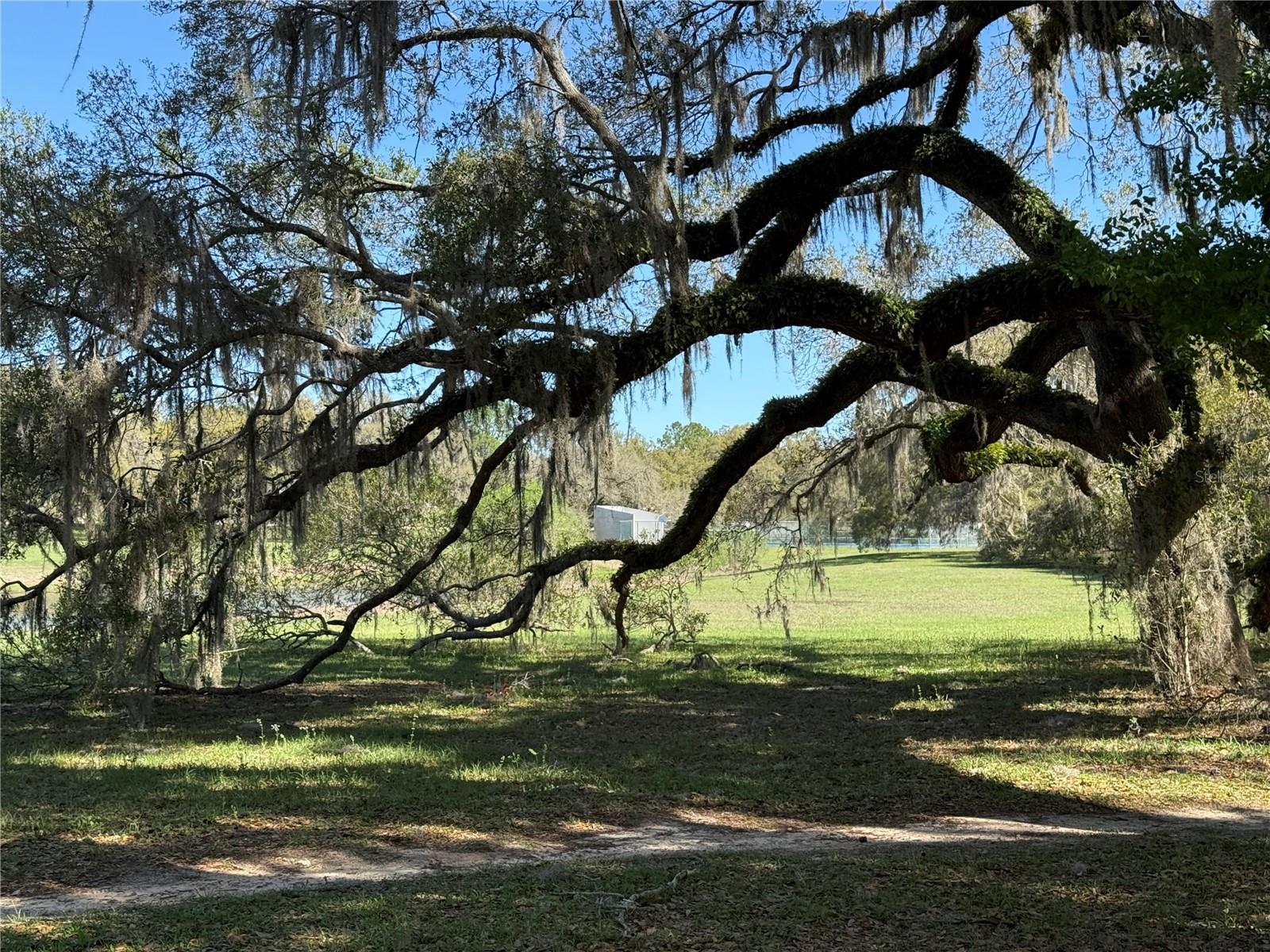 Image 25 of 28 For 10426 133rd Avenue