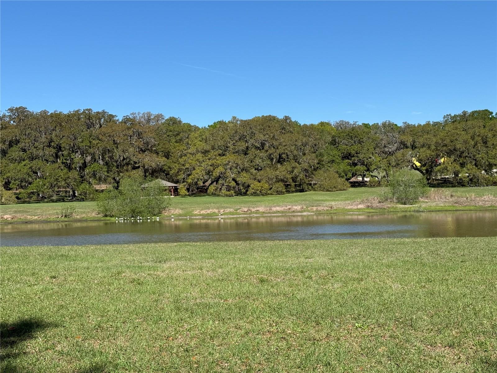 Image 26 of 28 For 10426 133rd Avenue