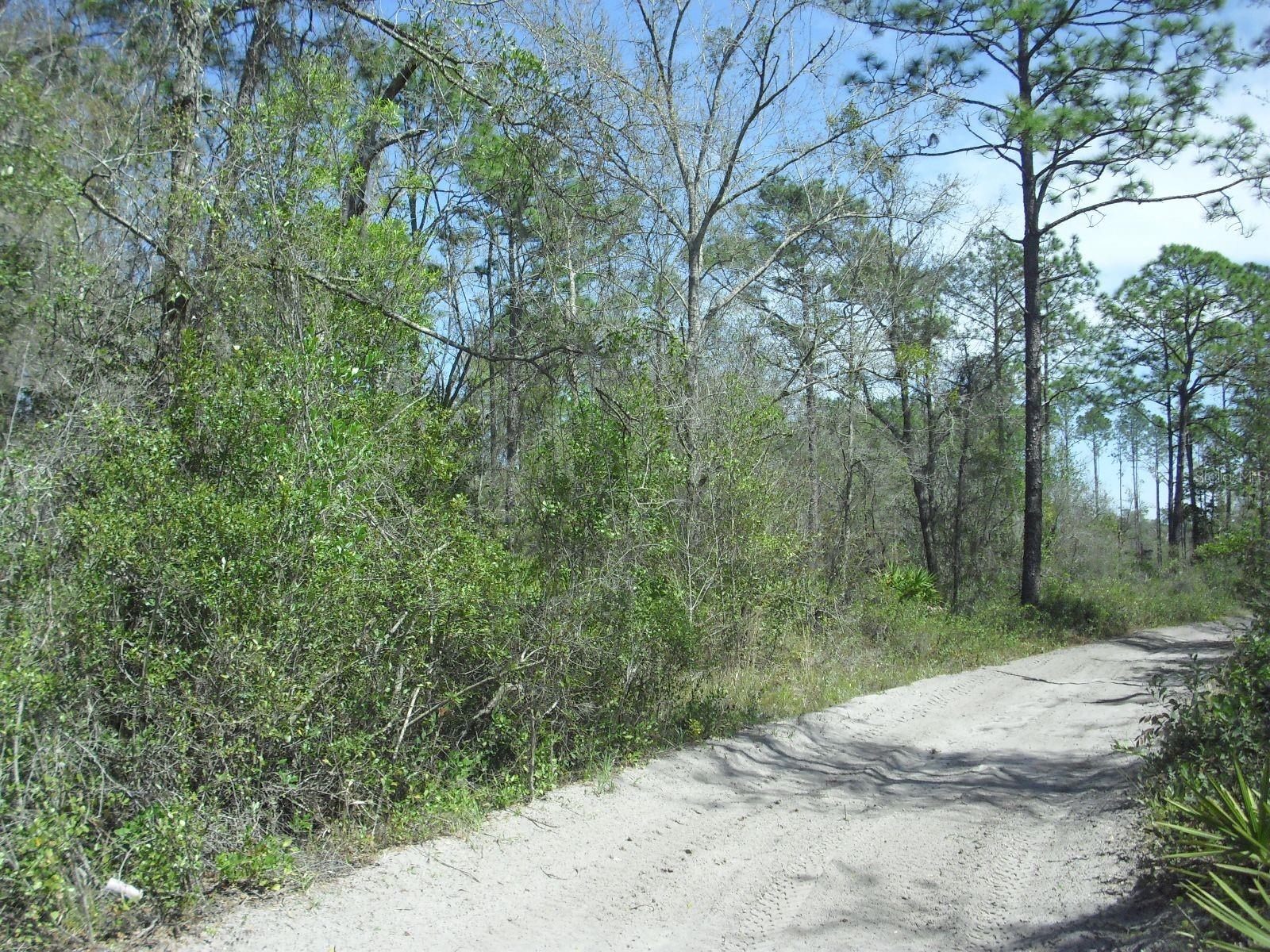 Image 2 of 17 For Tract 418 158th Lane