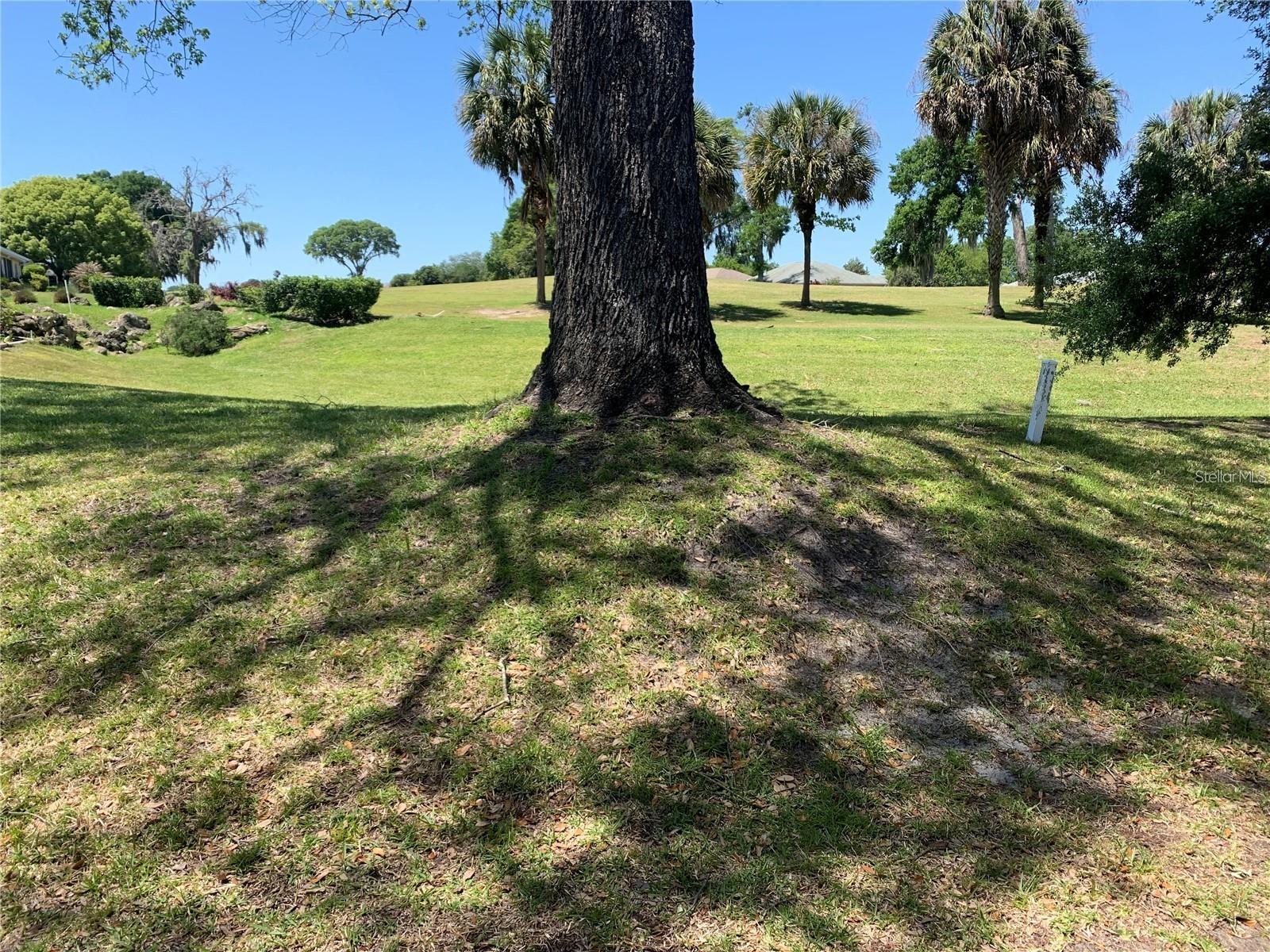 Image 28 of 28 For 1918 50th Circle